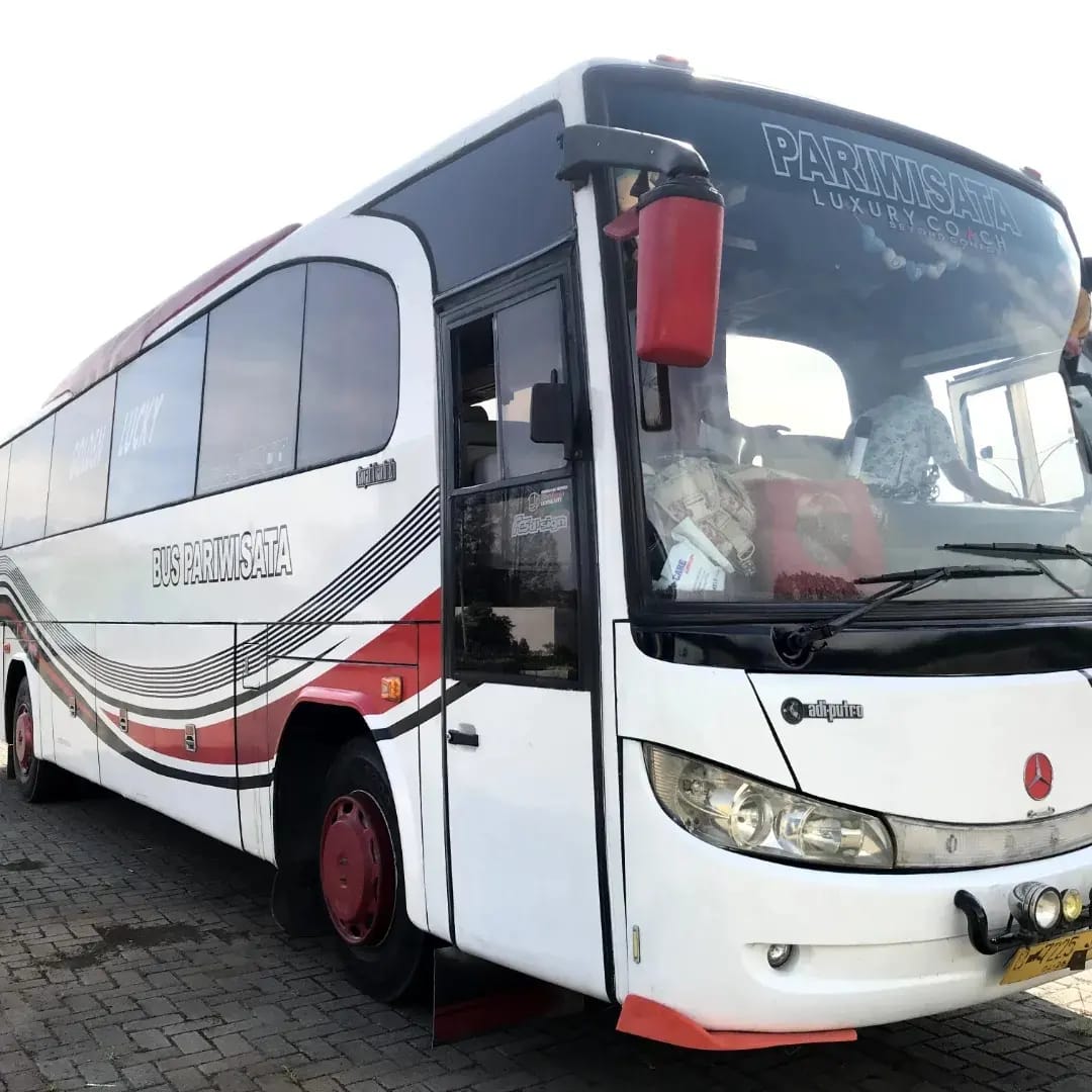 Bus 40 seat